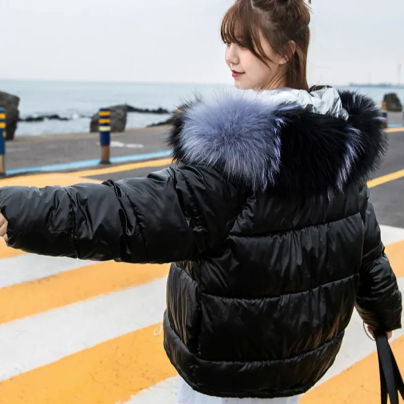 Women's Winter Warm Waterproof Hooded Parka With Fur